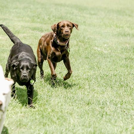ヌーサヴィル Balmoral Barnヴィラ エクステリア 写真